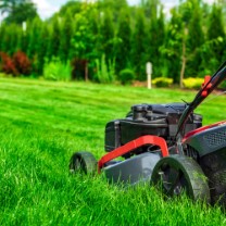 lawn and yard